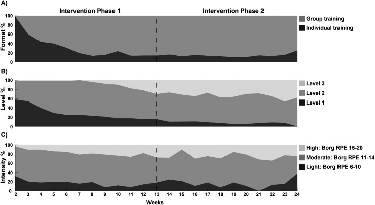Physiotherapists' delivery of a mobile health physical activity intervention for people post-stroke and transient ischemic attack: Insights from a feasibility study.