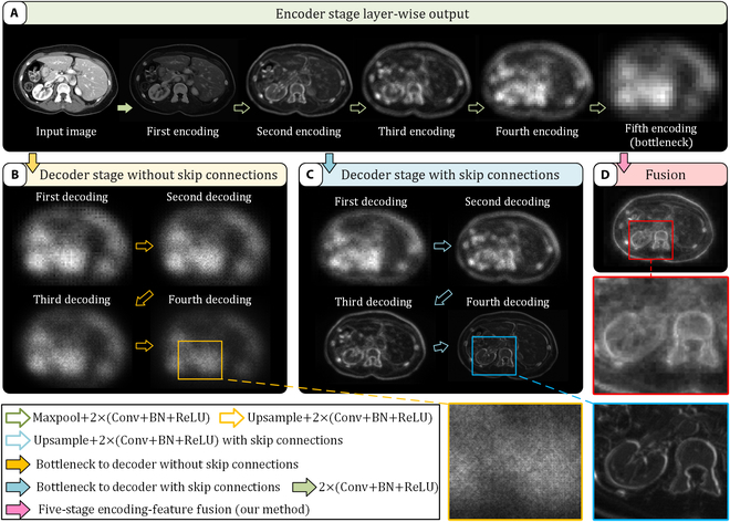 E-SegNet: E-Shaped Structure Networks for Accurate 2D and 3D Medical Image Segmentation.