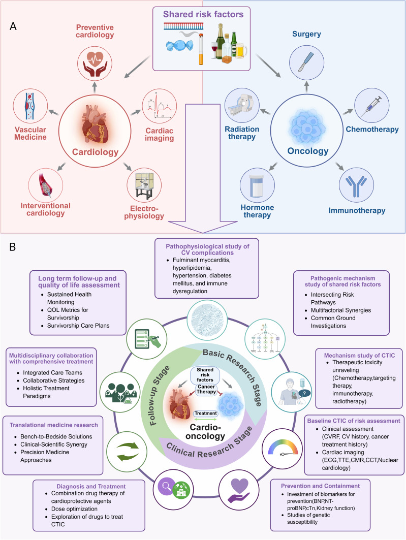 Natural Products From Traditional Chinese Medicine: Potential Therapeutic Agents in Cancer Therapy-Induced Cardiotoxicity.