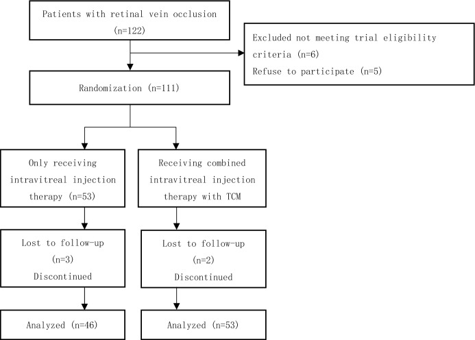 Jueling Mingmu decoction combined with ranibizumab for retinal vein occlusion induced macular edema: A randomized controlled clinical trial.