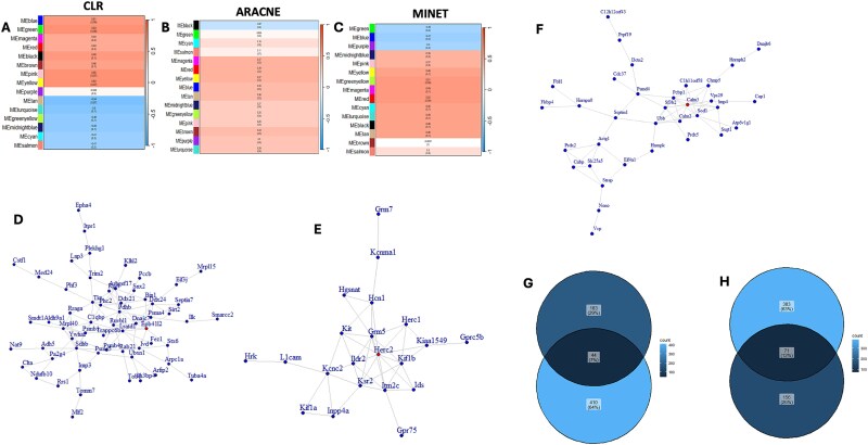 Stress-induced altered expression of hippocampal nuclear and mitochondrial encoded genes in rats and cross-species genetic associations reveal molecular links to depression.