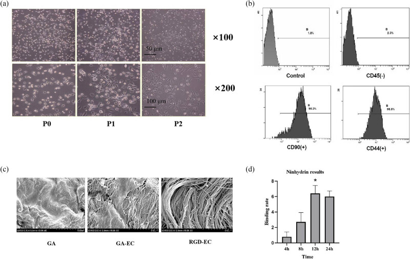 Biological properties of valve materials using RGD and EC.