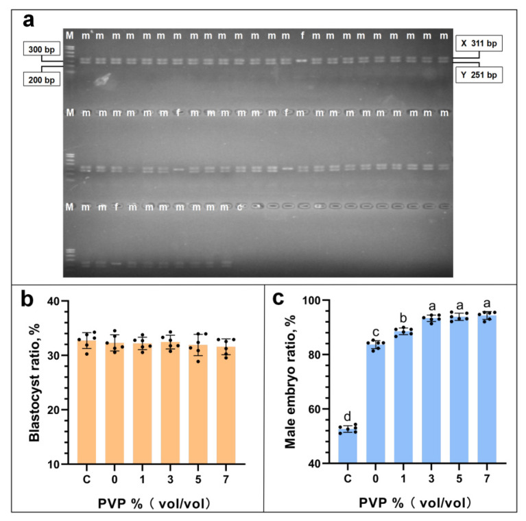 Polyvinylpyrrolidone can effectively improve the efficiency of resiquimod in sorting bovine Y sperm.