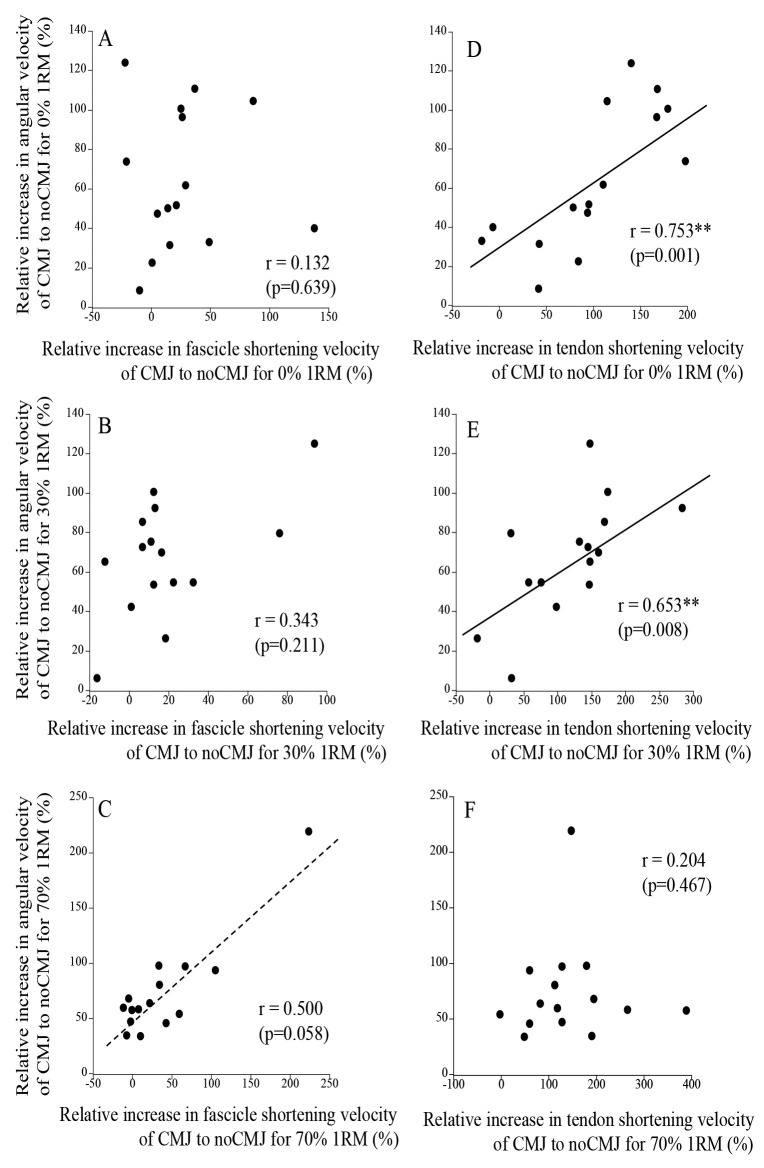 Effects of External Load on the Contribution of Tendon Dynamics During Stretch-Shortening Cycle Exercises.