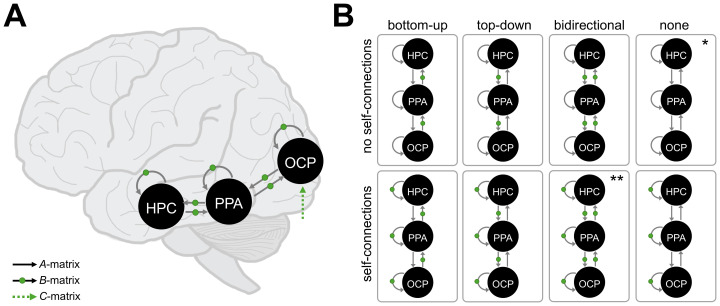 Effective connectivity between the medial temporal lobes and early visual cortex modulated by unrestricted viewing predicts memory retrieval and gaze reinstatement.