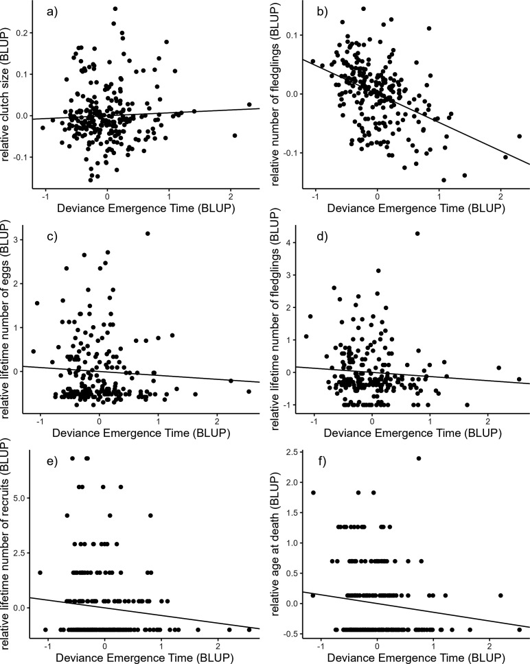 Female chronotype is not related to annual and lifetime reproductive success in a free-living songbird.