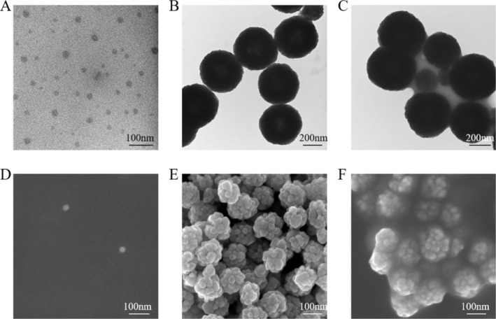 A New Nanotechnology for Imaging the Juxta-Articular Intraosseous Vasculature-Canal Complex and Related Clinical Pilot Studies.
