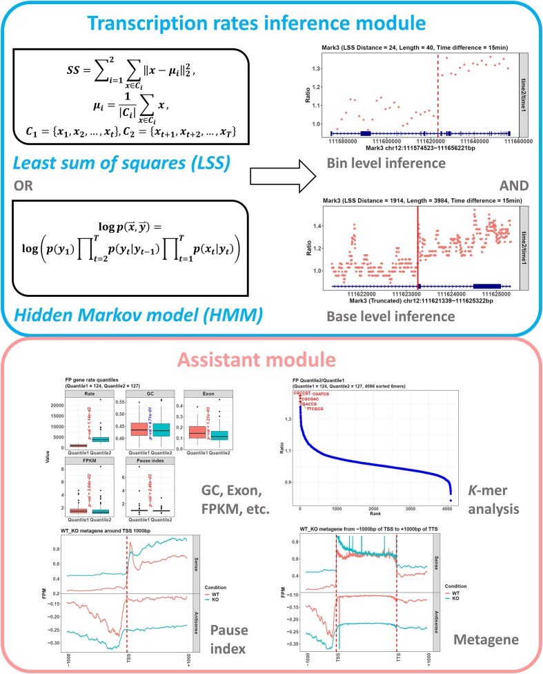 <i>proRate</i>: an R package to infer gene transcription rates with a novel least sum of squares method.