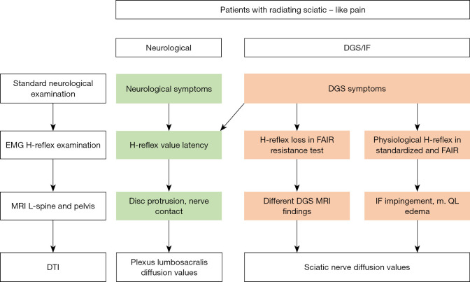 Exploring non-invasive diagnostic tools for deep gluteal syndrome: a multimodal approach integrating clinical and imaging techniques.