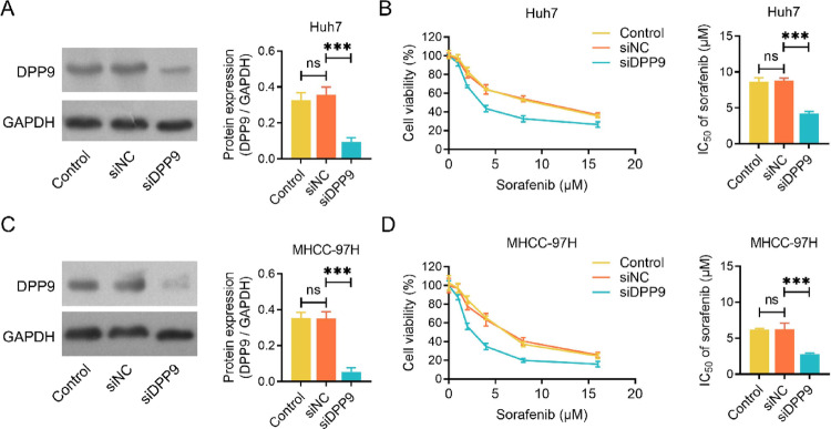Inhibition of dipeptidyl peptidase 9 improves sorafenib sensitivity by inducing ferroptosis in hepatocellular carcinoma.