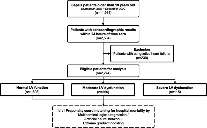 Association Between Initial Left Ventricular Systolic Dysfunction and Clinical Outcome in Sepsis: A Multicenter Cohort Study.