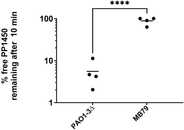 Complementary killing activities of <i>Pbunavirus LS1</i> and <i>Bruynoghevirus LUZ24</i> phages on planktonic and sessile <i>Pseudomonas aeruginosa</i> PAO1 derivatives.