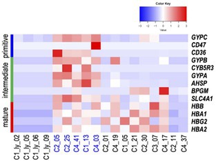 Isolation of Nucleated Red Blood Cells With Intact Genomic DNA From Cord Blood by Applying G&T-Seq.