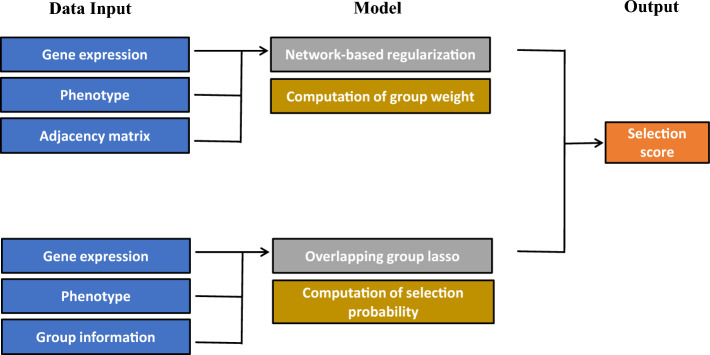 Weighted overlapping group lasso for integrating prior network knowledge into gene set analysis.
