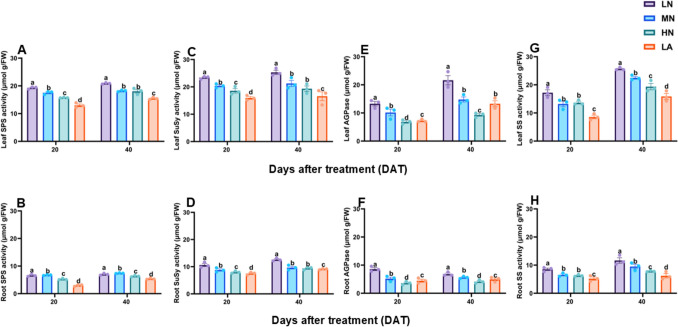Nitrogen deficiency impacts growth and modulates carbon metabolism in maize.