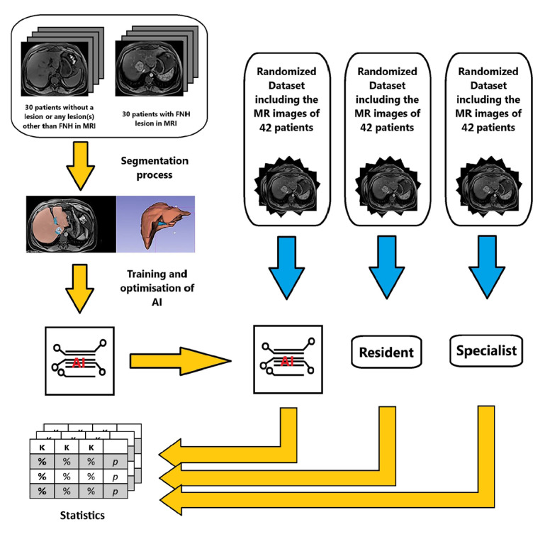 Evaluating artificial intelligence for a focal nodular hyperplasia diagnosis using magnetic resonance imaging: preliminary findings.
