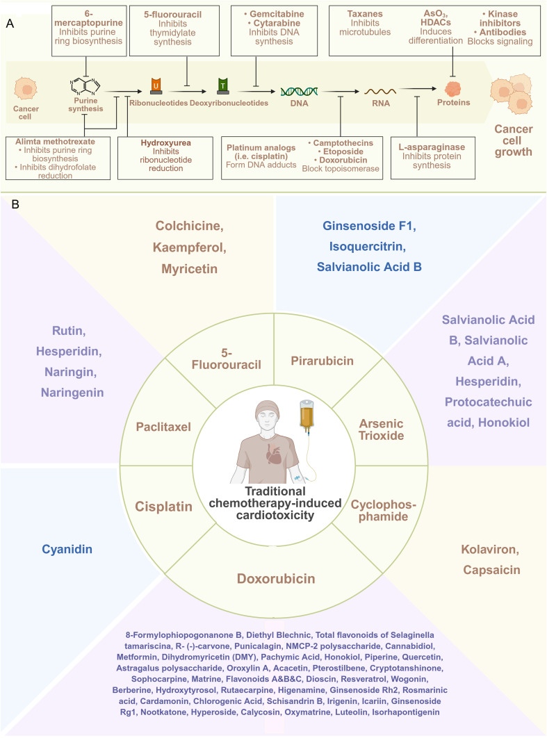 Natural Products From Traditional Chinese Medicine: Potential Therapeutic Agents in Cancer Therapy-Induced Cardiotoxicity.