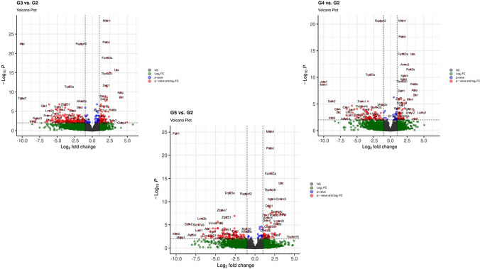 Comparison of transcriptome profiles of radiotherapy beams on MCF-7 breast cancer xenografts.