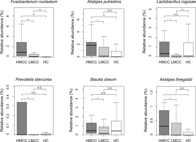 Characteristics of gut microbiota in high-methylated colorectal cancer.
