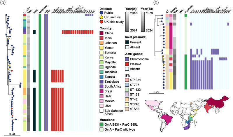 Highly drug-resistant Vibrio cholerae harbouring blaPER-7 isolated from travellers returning to England.