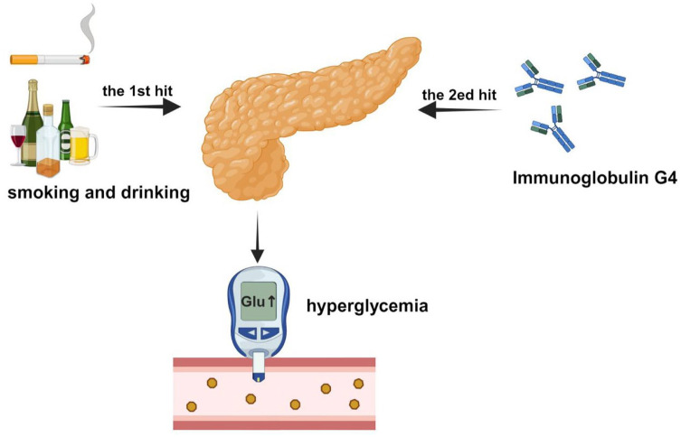 Smoking, alcohol consumption, and new-onset impaired glucose metabolism in male patients with type 1 autoimmune pancreatitis: a retrospective cohort study.