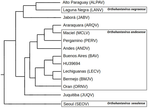 Orthohantavirus rodent hosts and genotypes in Southern South America: A narrative review.