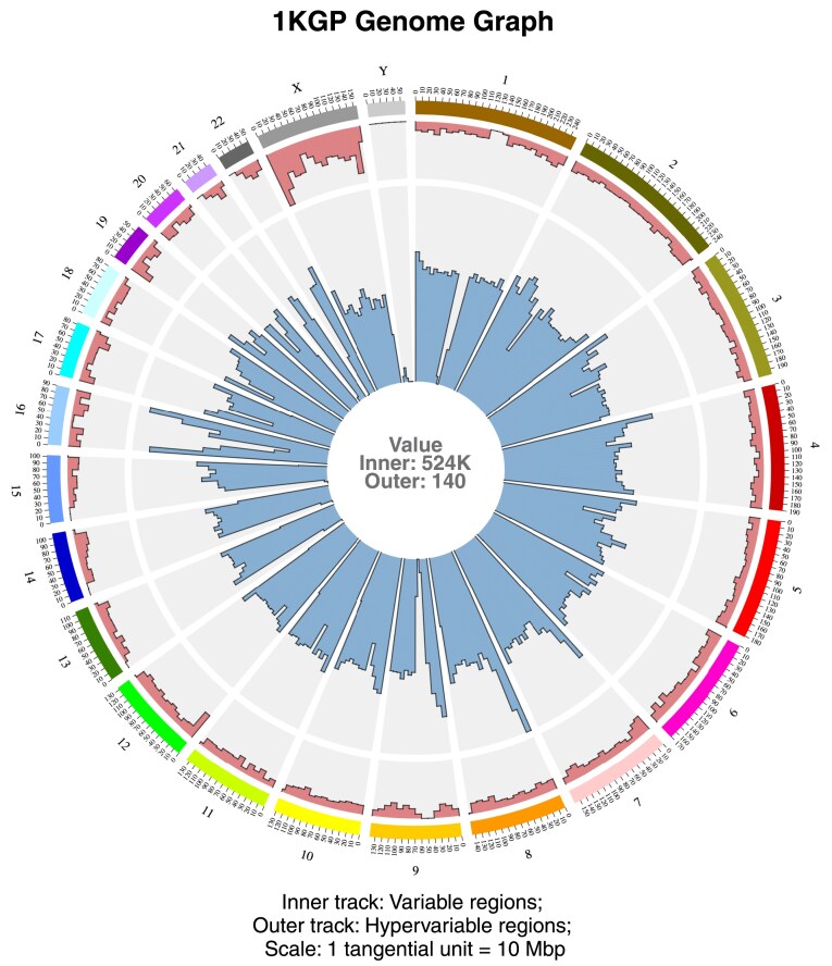 GViNC: an innovative framework for genome graph comparison reveals hidden patterns in the genetic diversity of human populations.