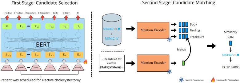 SNOMED CT entity linking challenge.