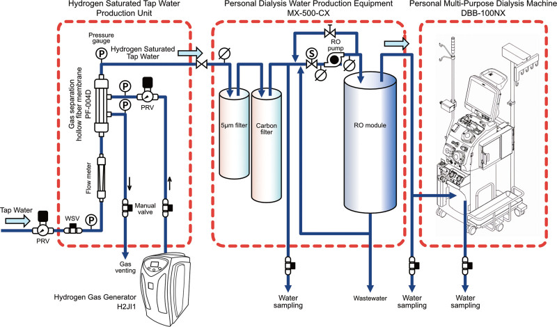 High-Concentration Hydrogen Delivery During Dialysis Using an Innovative Direct Dissolution Technique: In Vivo Kinetics in a Canine Model.