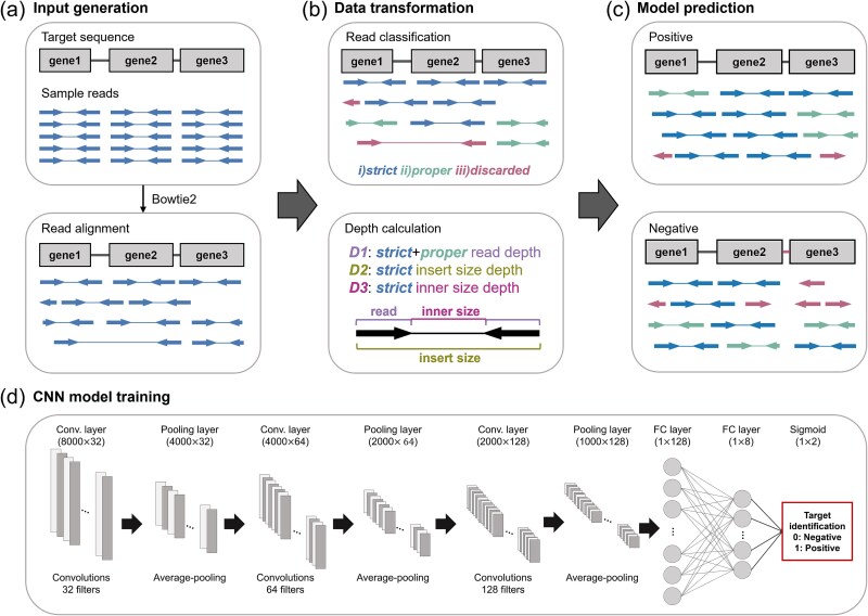 DeepMobilome: predicting mobile genetic elements using sequencing reads of microbiomes.