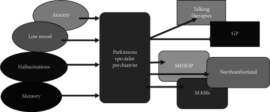 The Impact of Integrating a Parkinson's Specialist Psychiatrist Into the Multidisciplinary Team on Patients With Parkinson's and Cognitive Impairment.