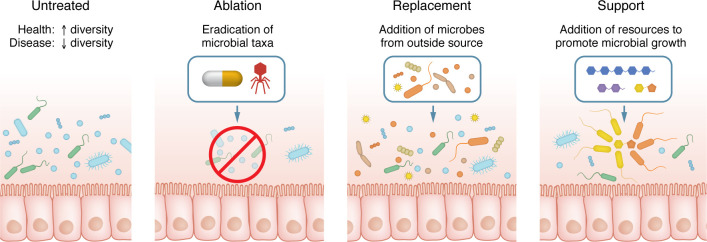 Emerging concepts and shifting paradigms for understanding the microbial basis of inflammatory bowel diseases.