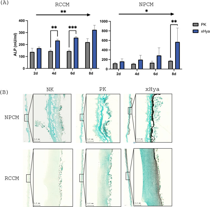 Hyaluronic acid promotes biomineralization of osteoblast-like cells - observations on two different barrier membranes.