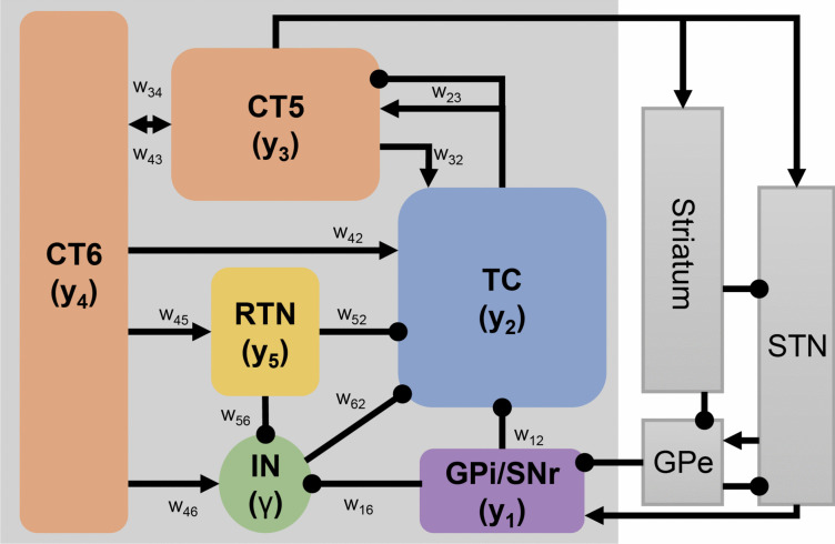 Modeling characteristics of neuronal firing in the thalamocortical network of connections in control and parkinsonian primates.