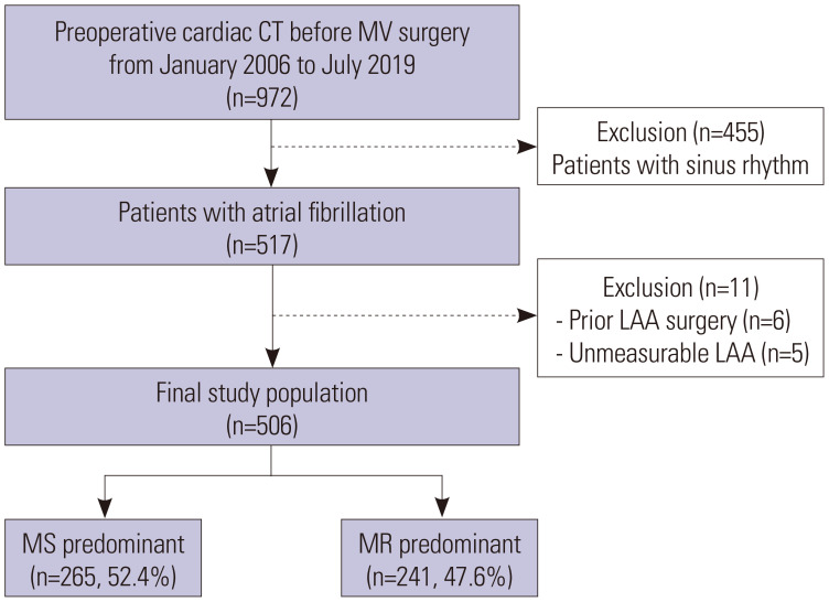 Left Atrial Appendage Characteristics Assessed with Cardiac Computed Tomography in Patients with Atrial Fibrillation and Severe Mitral Valve Disease.
