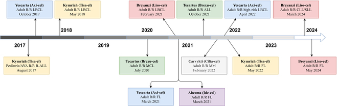 Characterizing the Real-World Risks of Kidney Injuries Associated with Chimeric Antigen Receptor T Cell Therapies-Evidence and Safety.