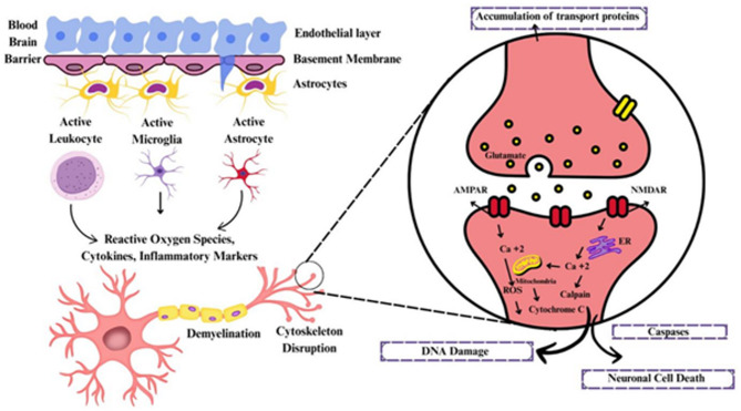 Revolutionizing cross professional collaboration outcomes in TBI: emerging trends in diagnostics, personalized medicine, technological innovations and neurorehabilitation.