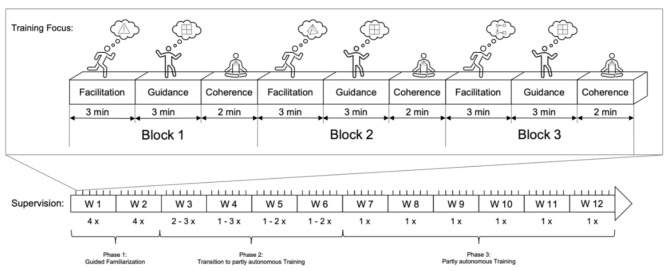 Structural brain improvements following individually tailored serious exergame-based training in mild neurocognitive disorders: exploratory randomized controlled trial.