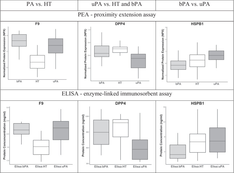 Searching for peripheral proteomic markers of primary aldosteronism.