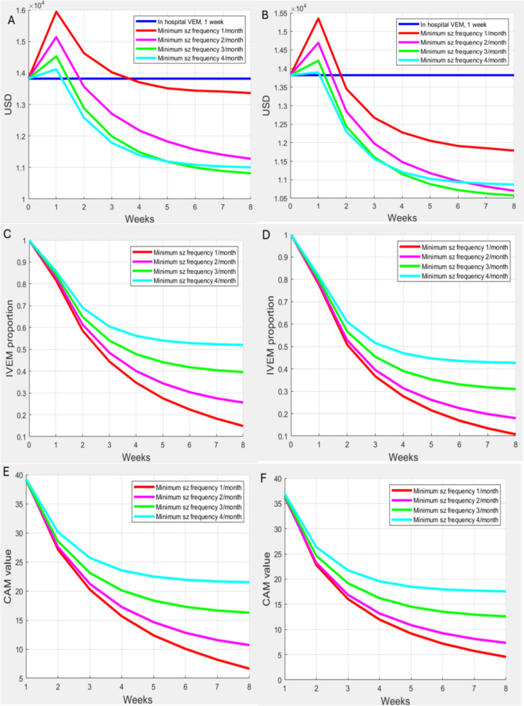 Prolonged intermittent home video-EEG monitoring for drug-resistant epilepsy: the cost-availability model.