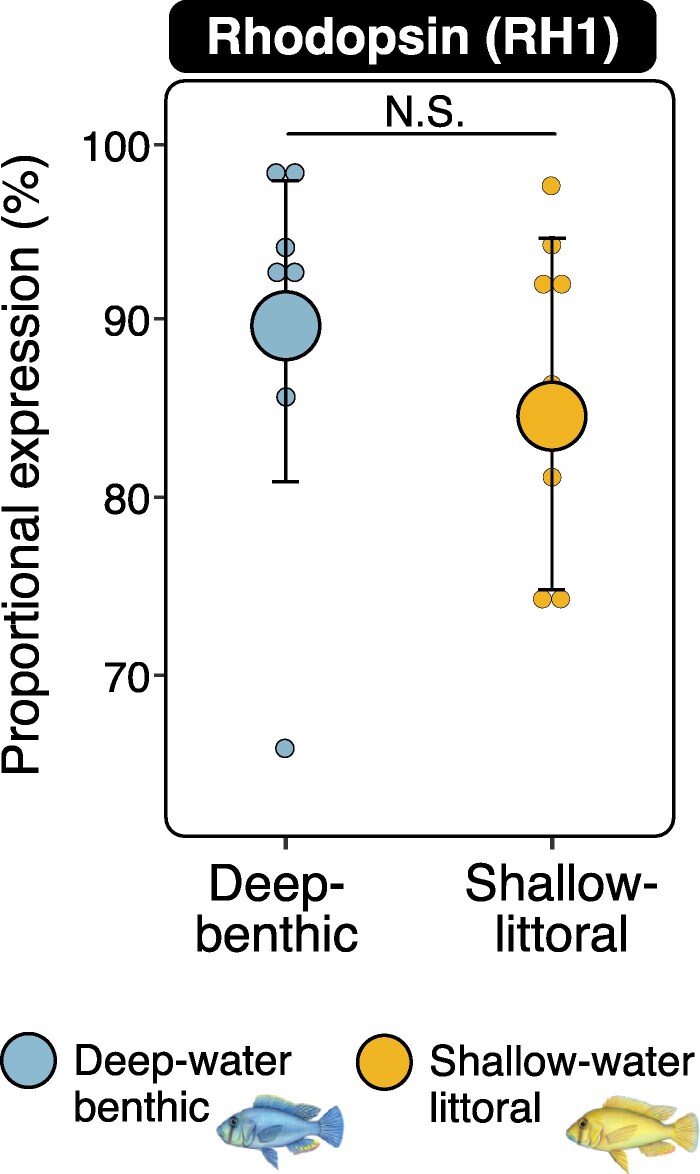 Rapid Divergence of Visual Systems and Signaling Traits to Contrasting Light Regimes During Early Speciation of African Crater Lake Cichlid Fish.
