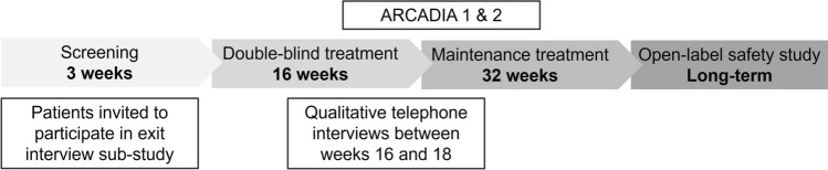Patients' Experiences of Atopic Dermatitis and Nemolizumab Treatment: An In-Trial Interview Study Embedded in a Phase 3 Clinical Trial (ARCADIA).