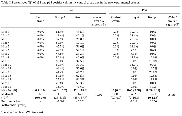 Stratifying Skin Cancer Patients and Guiding Treatment Decisions Through Combined p53 and p63 Expression Analysis.