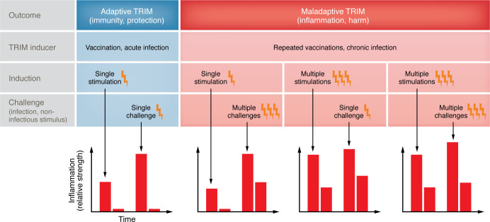 Maladaptive trained immunity in viral infections.