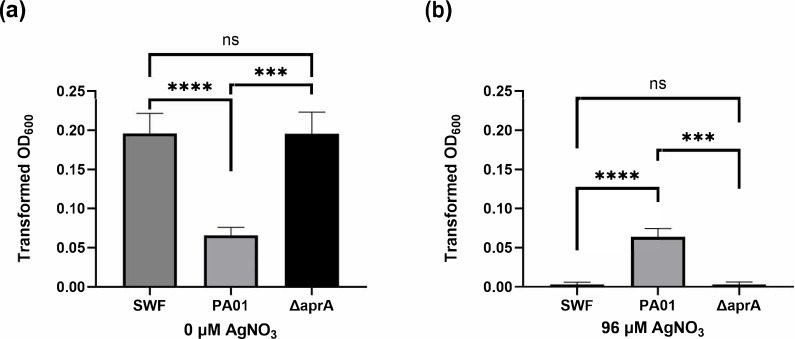 Role of AprA and pyocyanin from <i>Pseudomonas aeruginosa</i> on <i>Staphylococcus aureus</i> tolerance to silver.