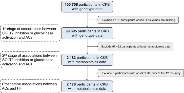 SGLT2 inhibition, acylcarnitines and heart failure: a Mendelian randomization study.