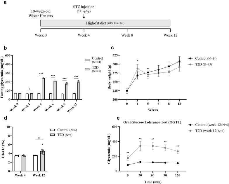 Early retinal changes in type 2 diabetes detected by texture-based OCT analysis: potential approach for subclinical diabetic retinopathy diagnosis.