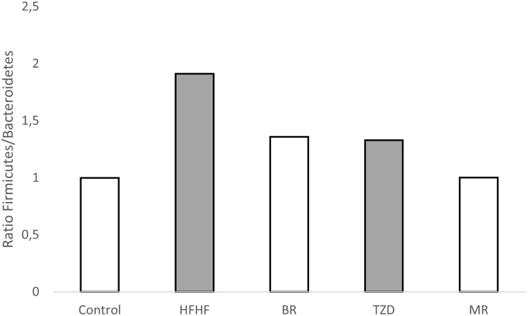 Effects of Brown Rice, Meal Replacements, and Anti-Obesity Drugs on Mitochondria in Obese Rats.