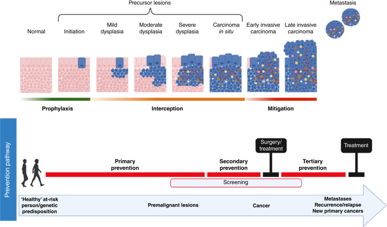 Precision Prevention Studies: A Targeted Approach to Cancer Prevention.