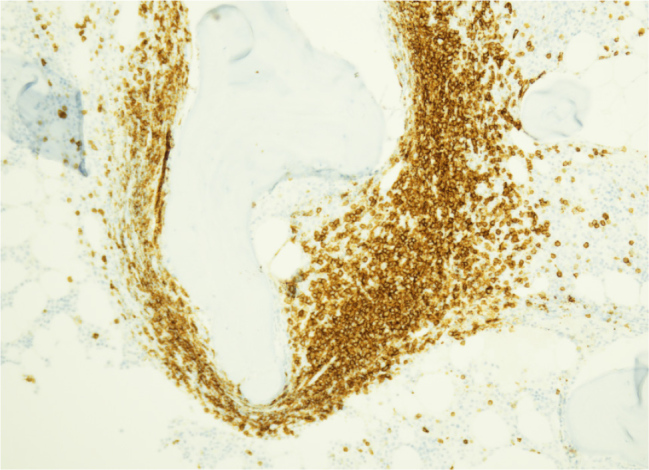 Abstract Image